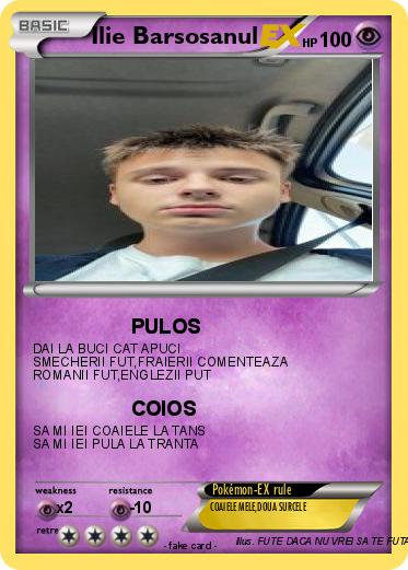 Pokemon Ilie Barsosanul