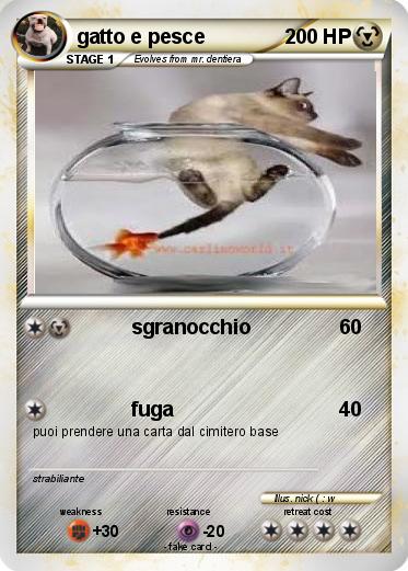 Pokemon gatto e pesce
