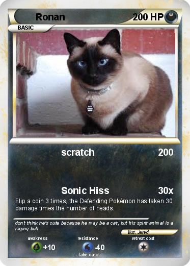 Pokemon Ronan