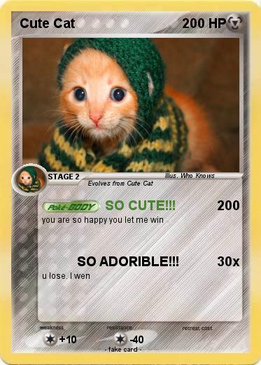Pokemon Cute Cat
