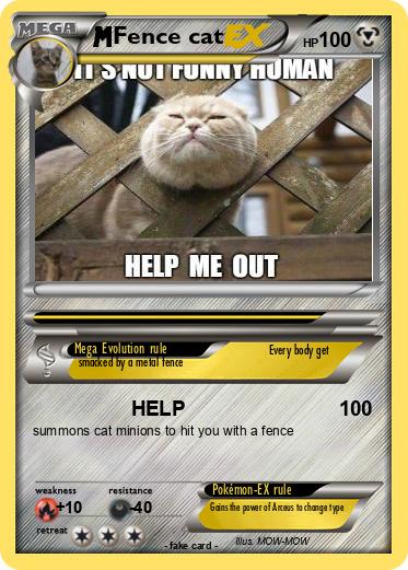 Pokemon Fence cat