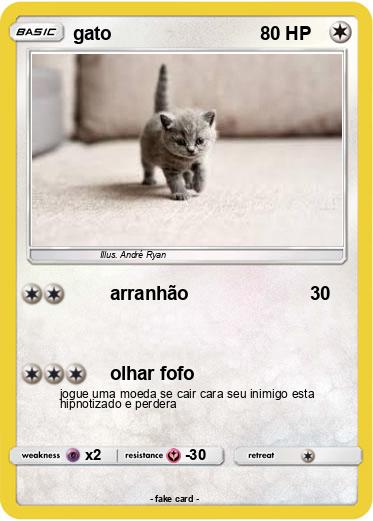 Pokemon gato