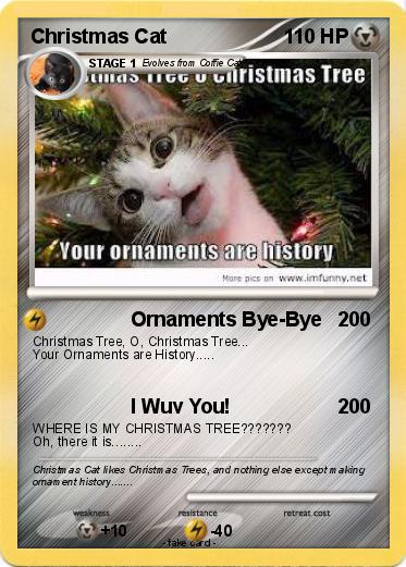 Pokemon Christmas Cat
