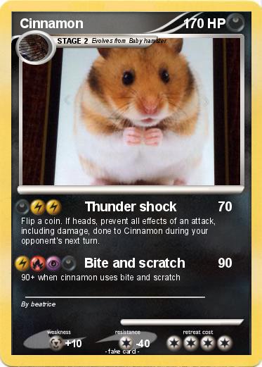 Pokemon Cinnamon