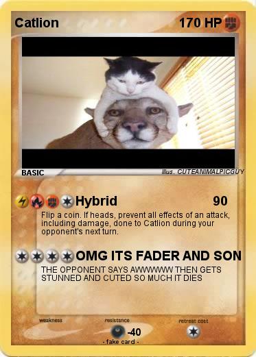 Pokemon Catlion
