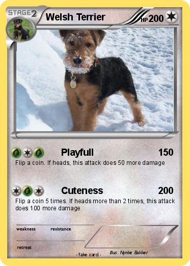 Pokemon Welsh Terrier
