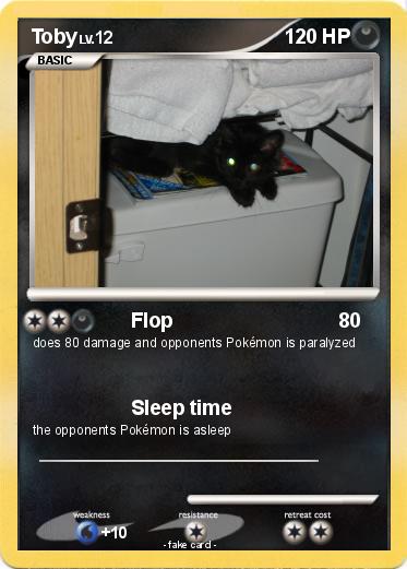 Pokemon Toby