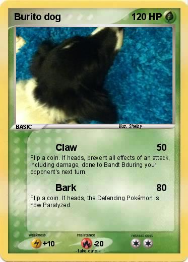 Pokemon Burito dog