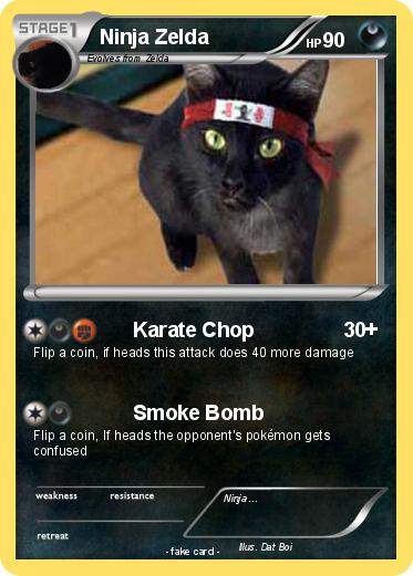 Pokemon Ninja Zelda