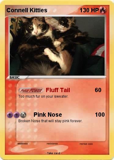 Pokemon Connell Kitties