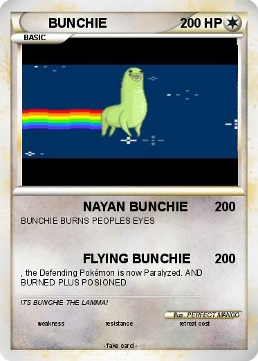Pokemon BUNCHIE