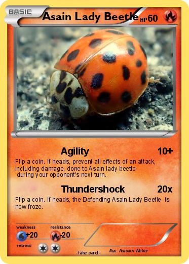 Pokemon Asain Lady Beetle