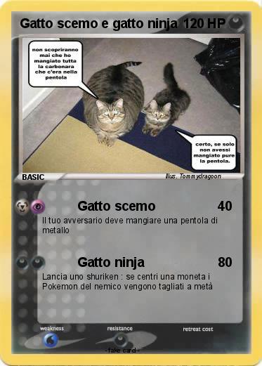 Pokemon Gatto scemo e gatto ninja