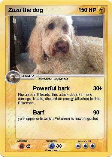 Pokemon Zuzu the dog