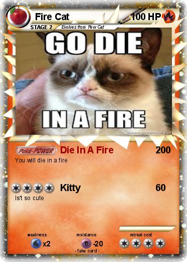 Pokemon Fire Cat