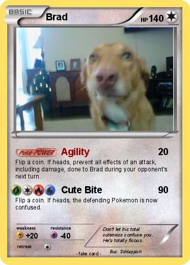 Pokemon Brad