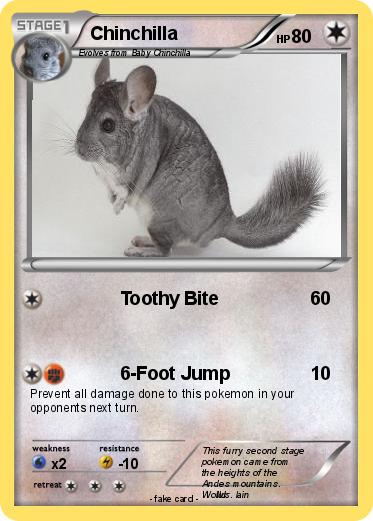 Pokemon Chinchilla