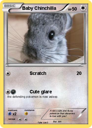 Pokemon Baby Chinchilla