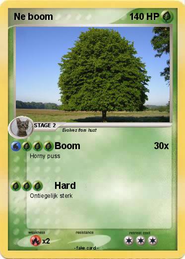 Pokemon Ne boom