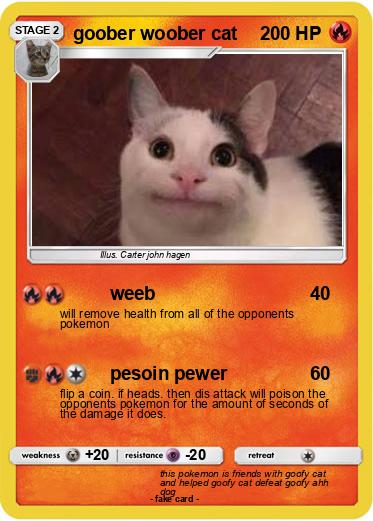 Pokemon goober woober cat
