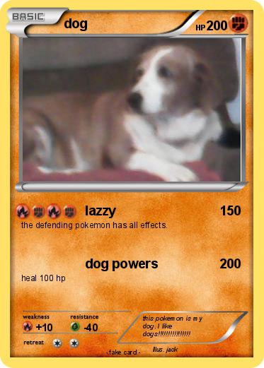 Pokemon dog