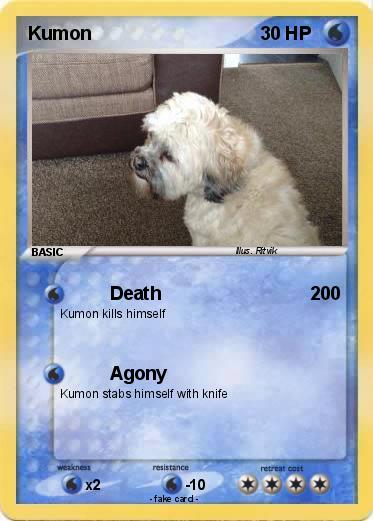 Pokemon Kumon