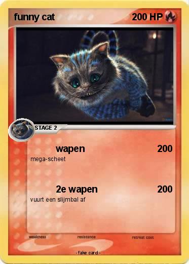 Pokemon funny cat