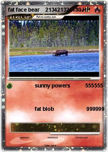 Pokemon fat face bear    21342132145
