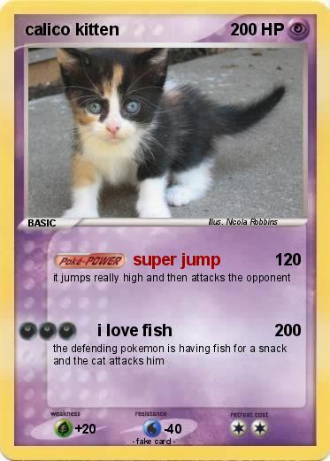 Pokemon calico kitten