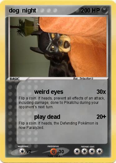 Pokemon dog  night