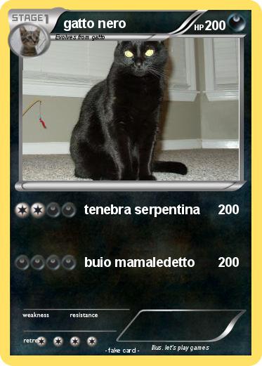 Pokemon gatto nero