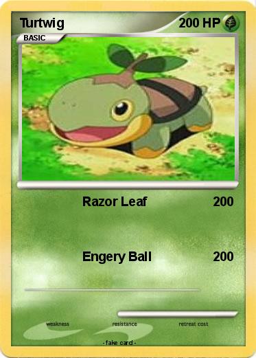 Pokemon Turtwig