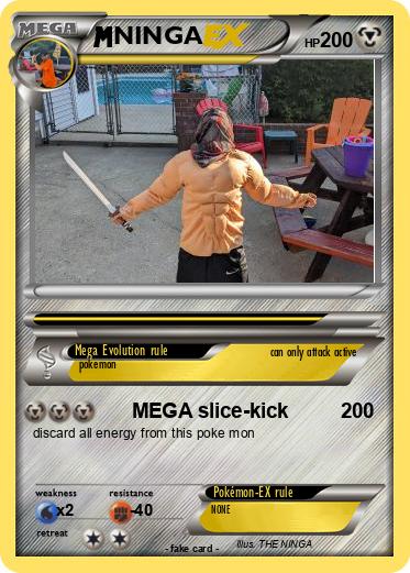 Pokemon NINGA