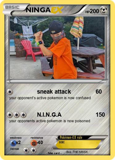 Pokemon NINGA