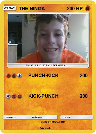 Pokemon THE NINGA