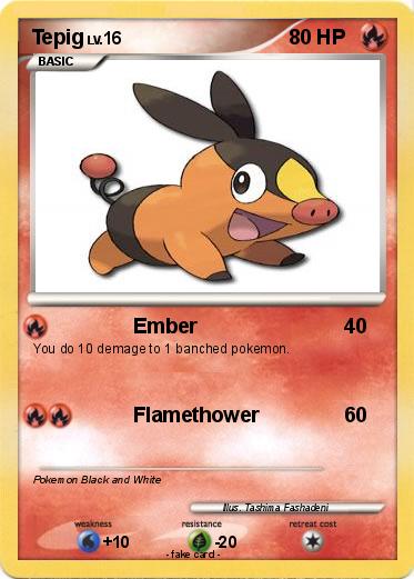 Pokemon Tepig