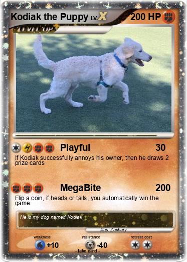 Pokemon Kodiak the Puppy