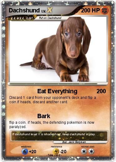 Pokemon Dachshund