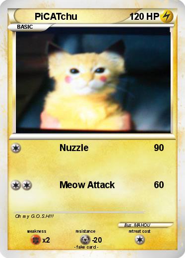 Pokemon PiCATchu