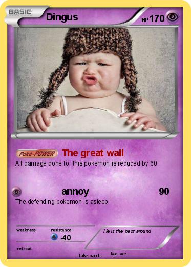 Pokemon Dingus