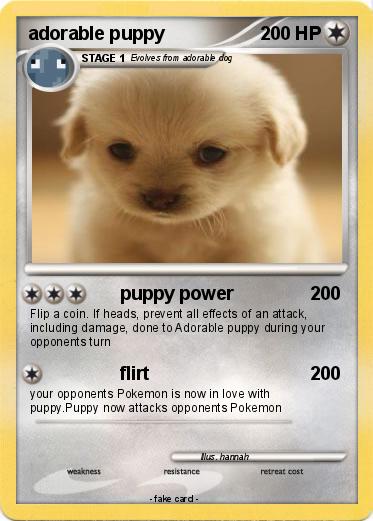 Pokemon adorable puppy
