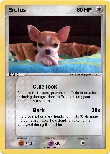 Pokemon Brutus