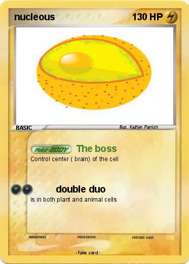 Pokemon nucleous
