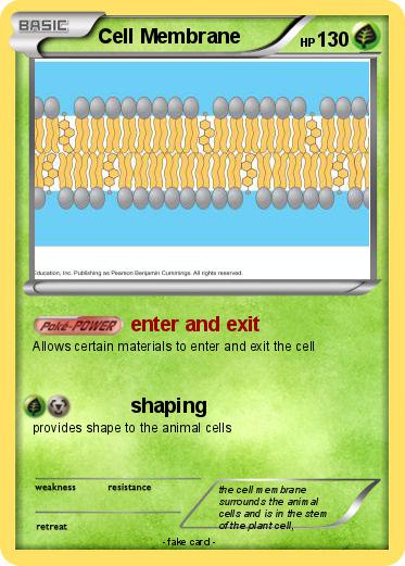 Pokemon Cell Membrane