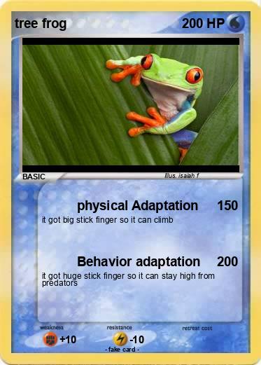 Pokemon tree frog