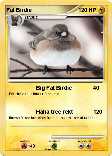 Pokemon Fat Birdie