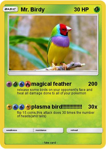 Pokemon Mr. Birdy