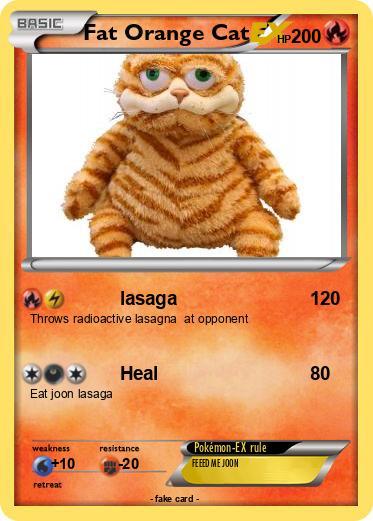 Pokemon Fat Orange Cat