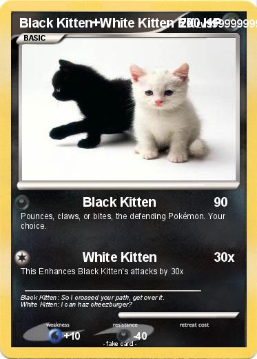 Pokemon Black Kitten+White Kitten EX