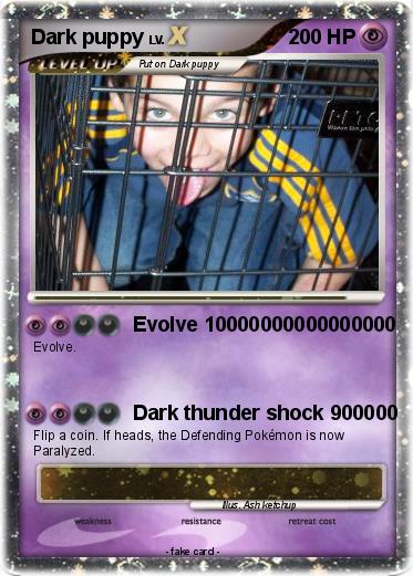 Pokemon Dark puppy